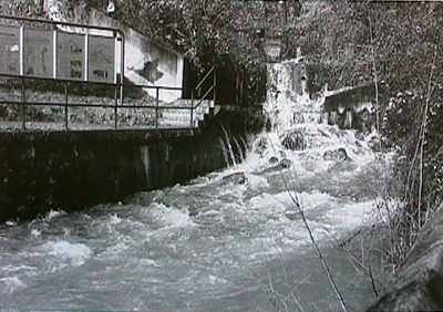 Source de la Serrière auourd'hui